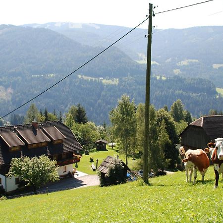 Ferienwohnung Lahnerhof Arriach Luaran gambar