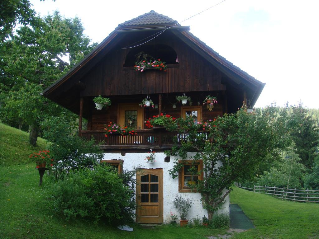 Ferienwohnung Lahnerhof Arriach Luaran gambar