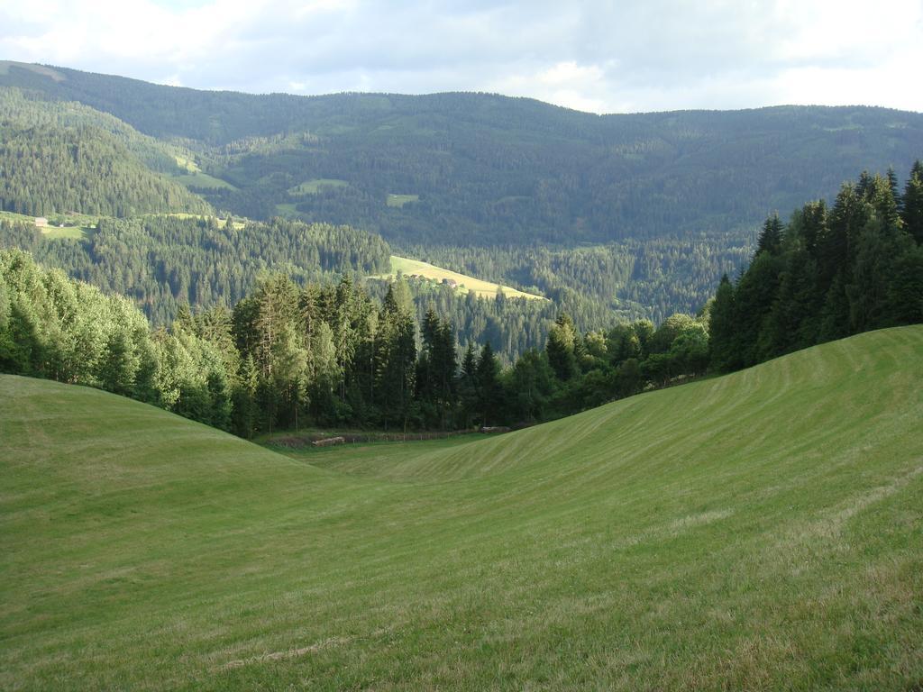 Ferienwohnung Lahnerhof Arriach Luaran gambar