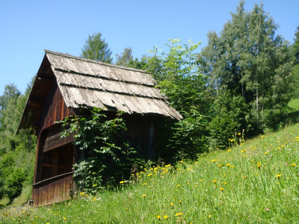Ferienwohnung Lahnerhof Arriach Luaran gambar