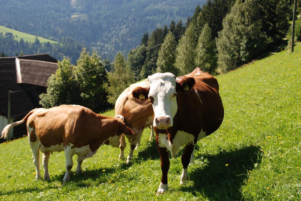Ferienwohnung Lahnerhof Arriach Luaran gambar